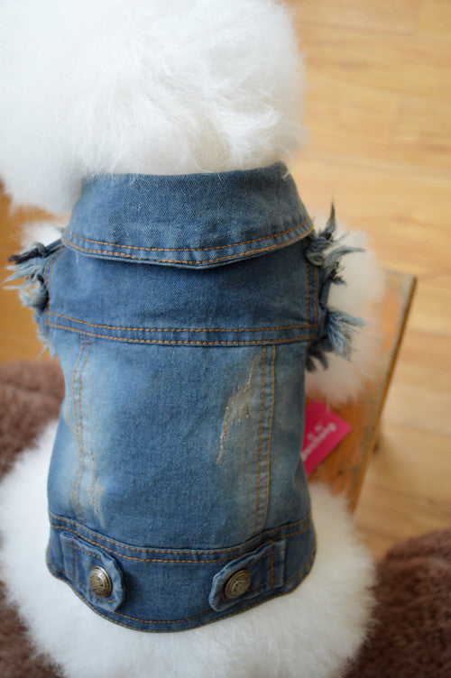 Teddy Clothes: Stylish and Comfortable Denim Wear for Your Pet