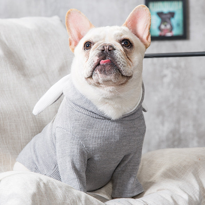 Dog Clothing: Comfortable, Stylish, and Durable for Your Pet