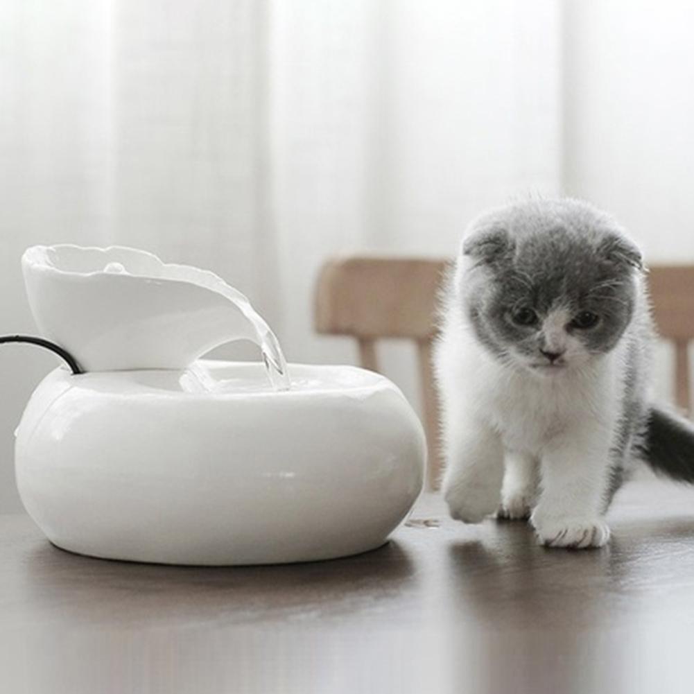 Pet Drinking Fountain: Quiet, Eco-Friendly Hydration for Your Pet
