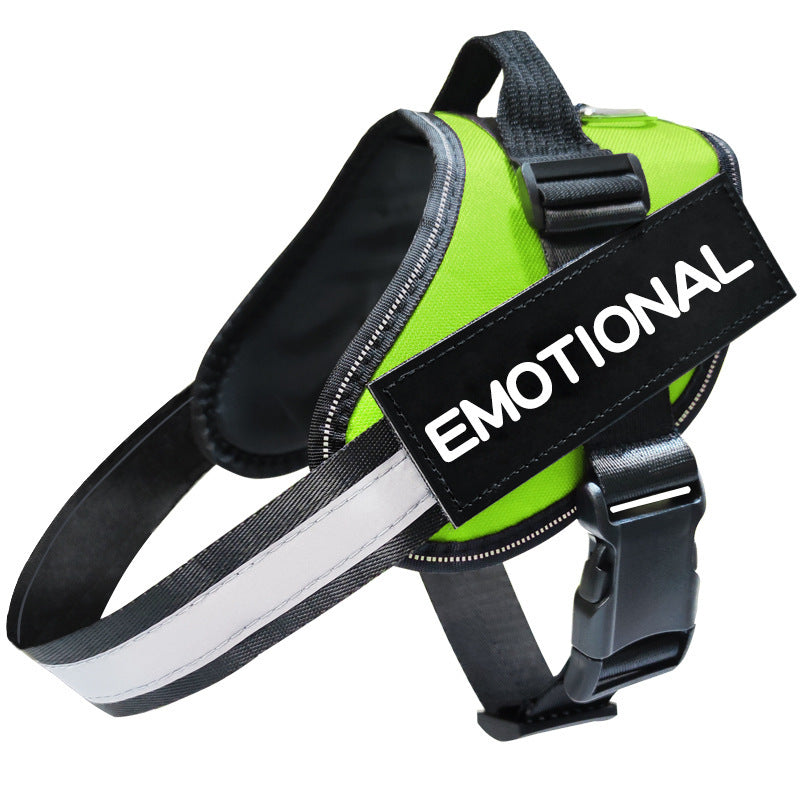 Dog Leash: Comfortable and Reliable for Every Walk