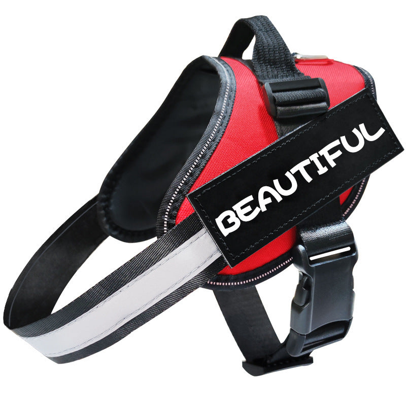 Dog Leash: Comfortable and Reliable for Every Walk