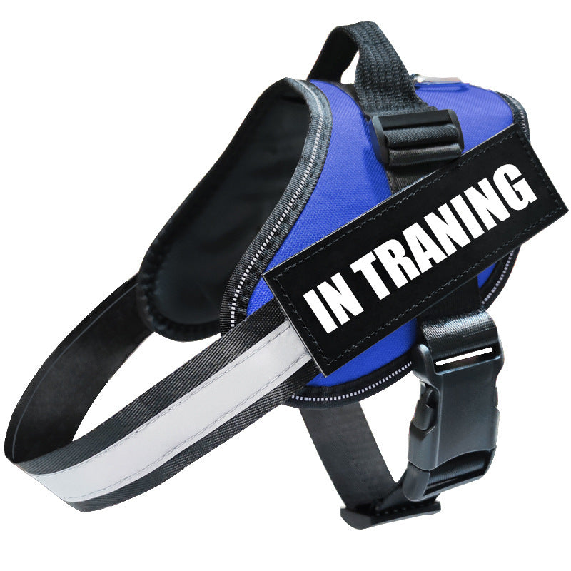 Dog Leash: Comfortable and Reliable for Every Walk