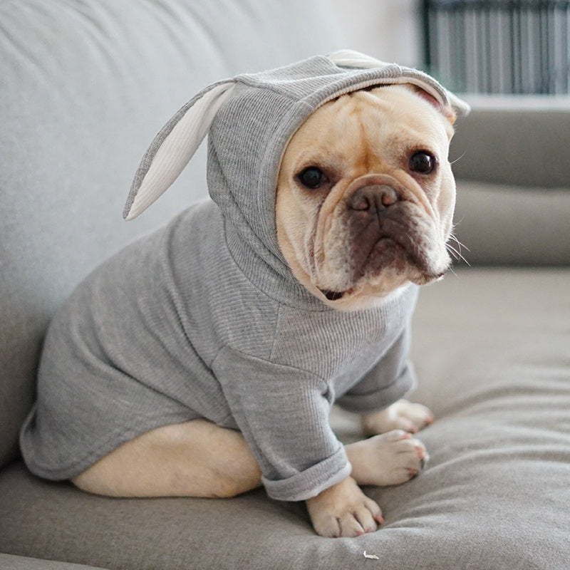 Dog Clothing: Comfortable, Stylish, and Durable for Your Pet
