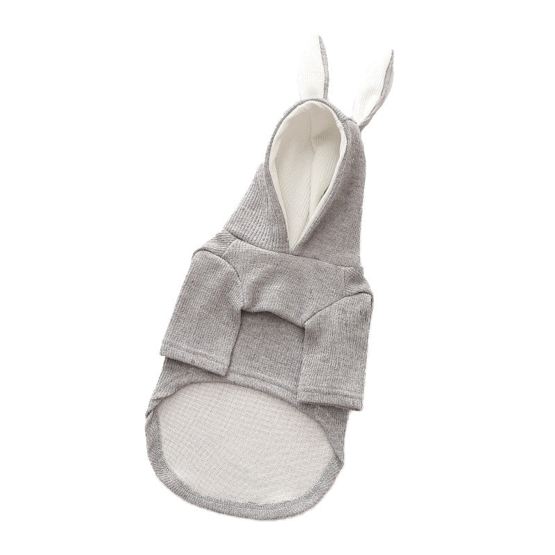 Dog Clothing: Comfortable, Stylish, and Durable for Your Pet