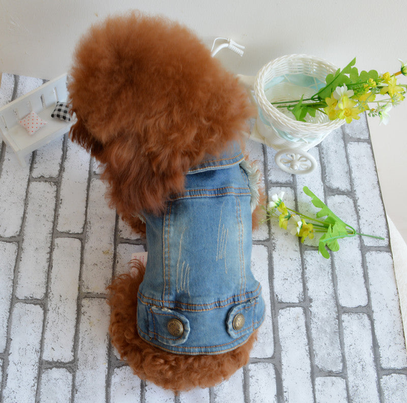 Teddy Clothes: Stylish and Comfortable Denim Wear for Your Pet