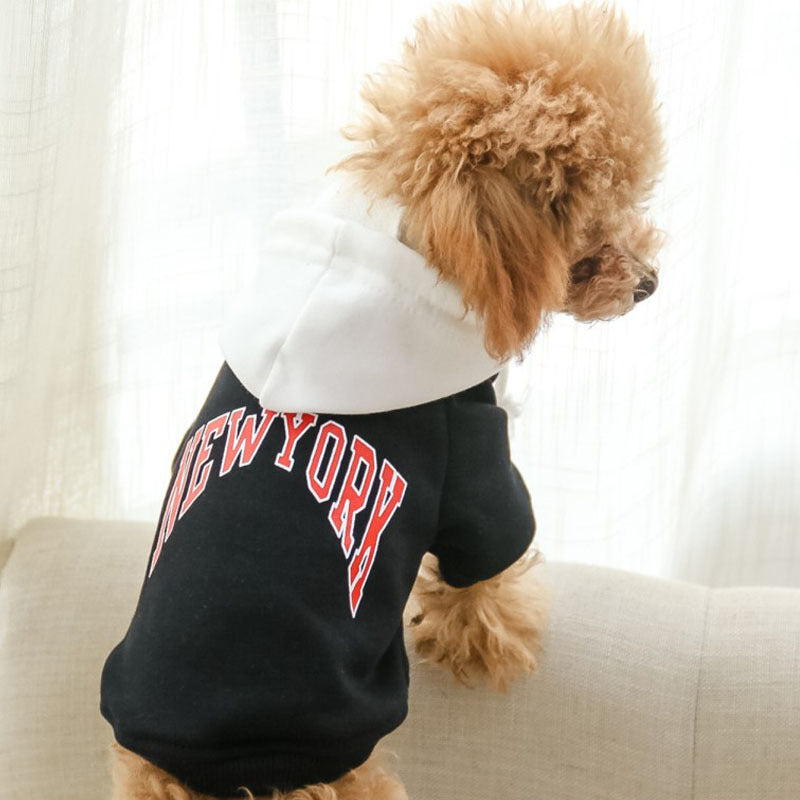 Dog Sweatshirt: Cozy and Stylish for Your Furry Friend