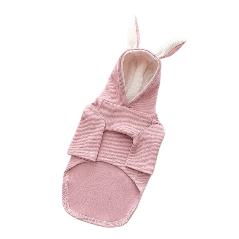 Dog Clothing: Comfortable, Stylish, and Durable for Your Pet