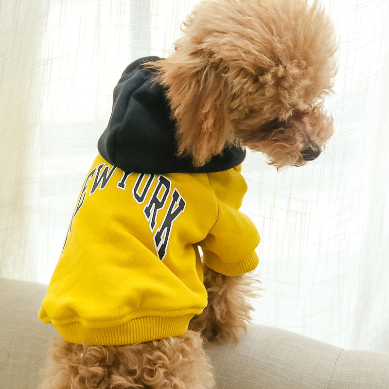 Dog Sweatshirt: Cozy and Stylish for Your Furry Friend