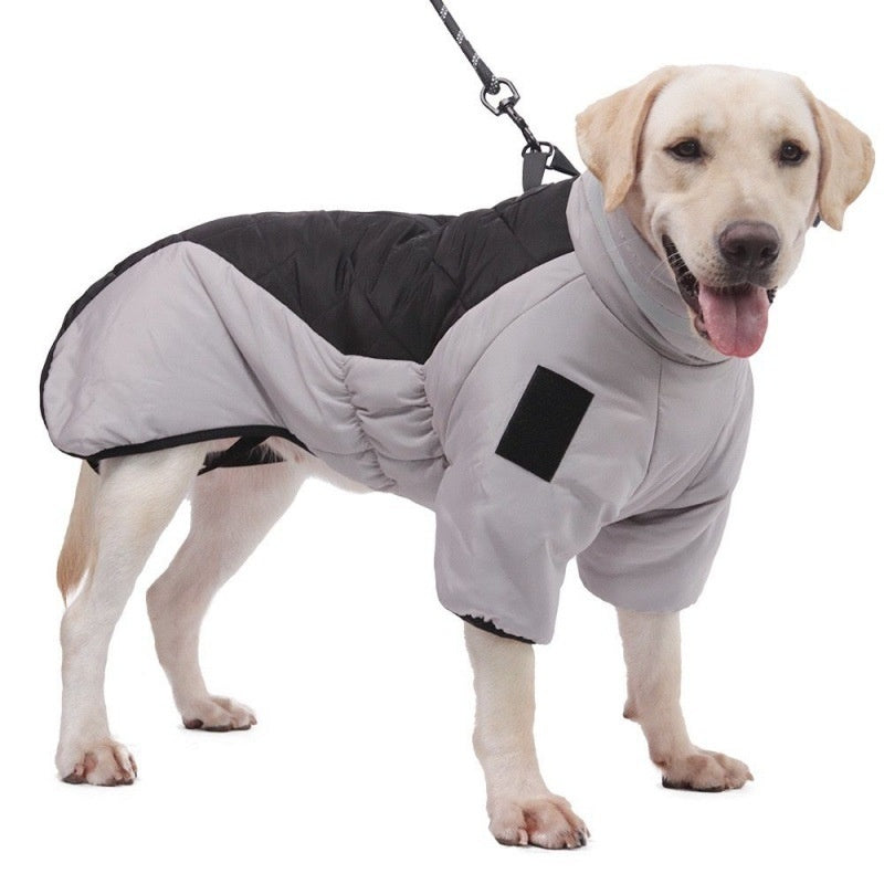 Winter Dog Coat: Cozy and Warm Protection for Your Pet