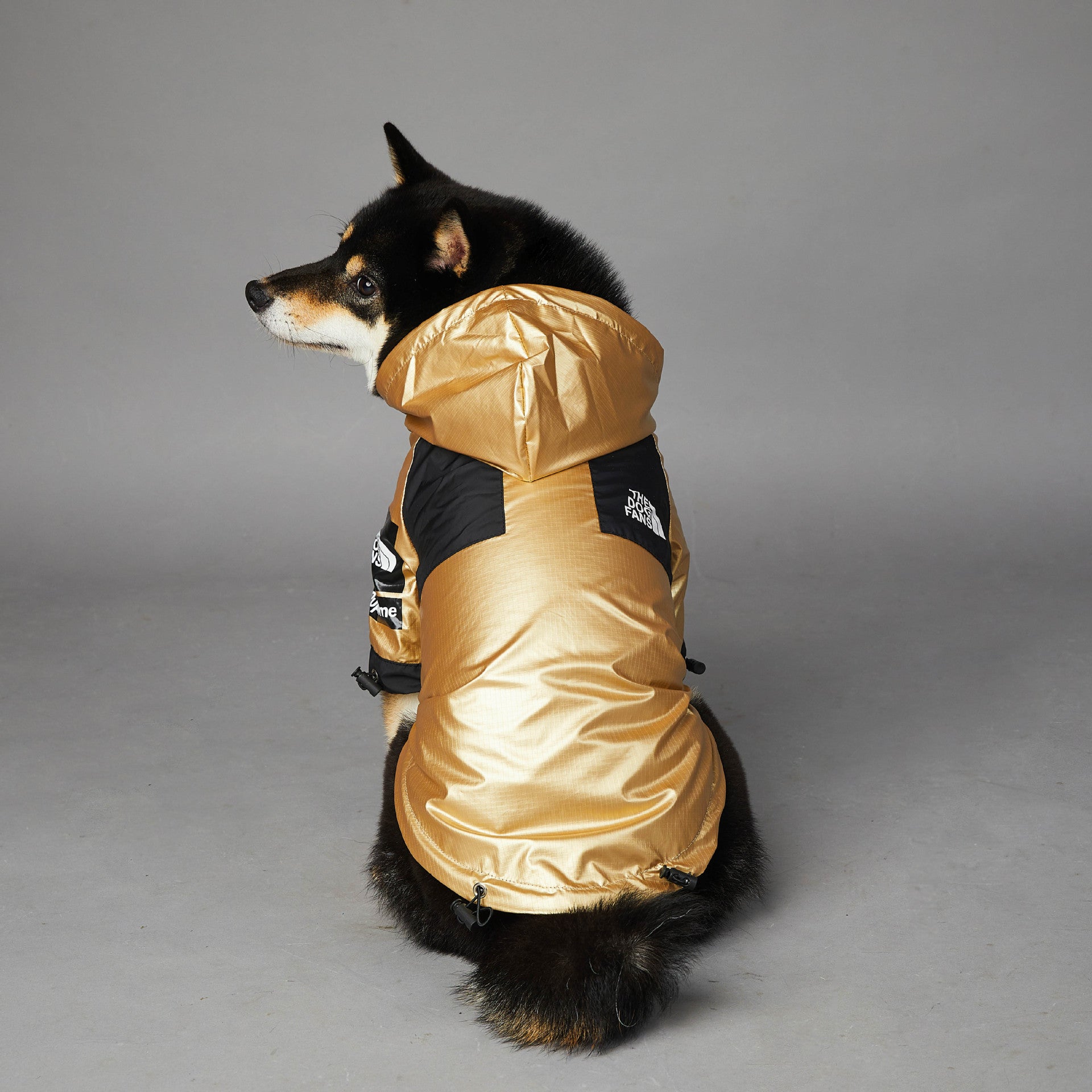 Dog Jacket: Stylish and Protective Raincoat for Your Furry Friend