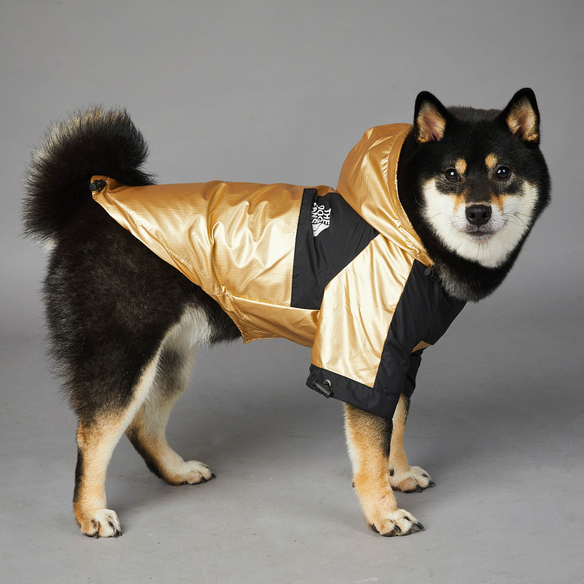 Dog Jacket: Stylish and Protective Raincoat for Your Furry Friend
