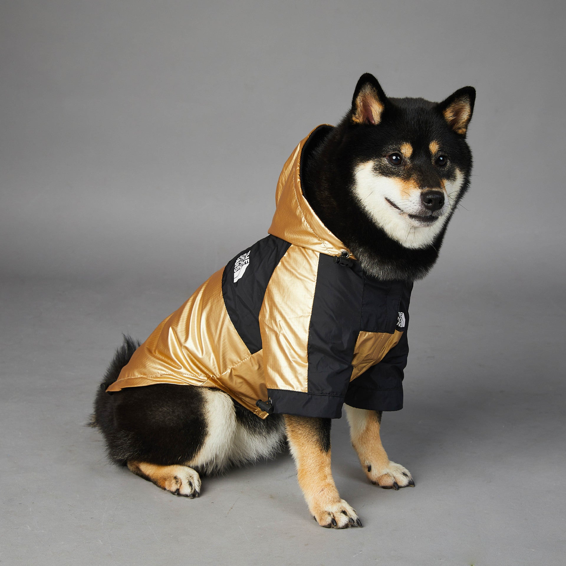 Dog Jacket: Stylish and Protective Raincoat for Your Furry Friend