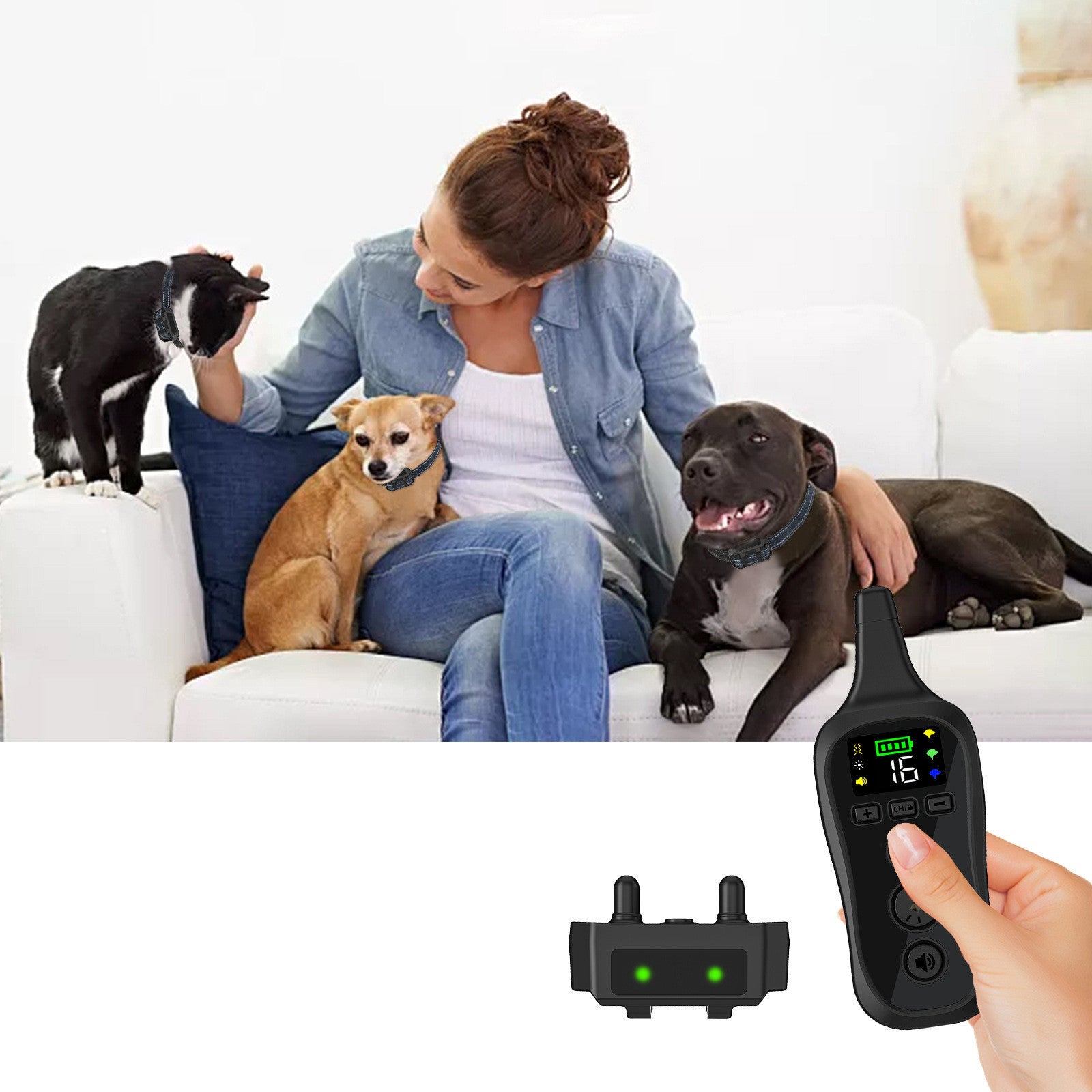 Electric Shock Collar: Advanced Training Tool for Your Dog