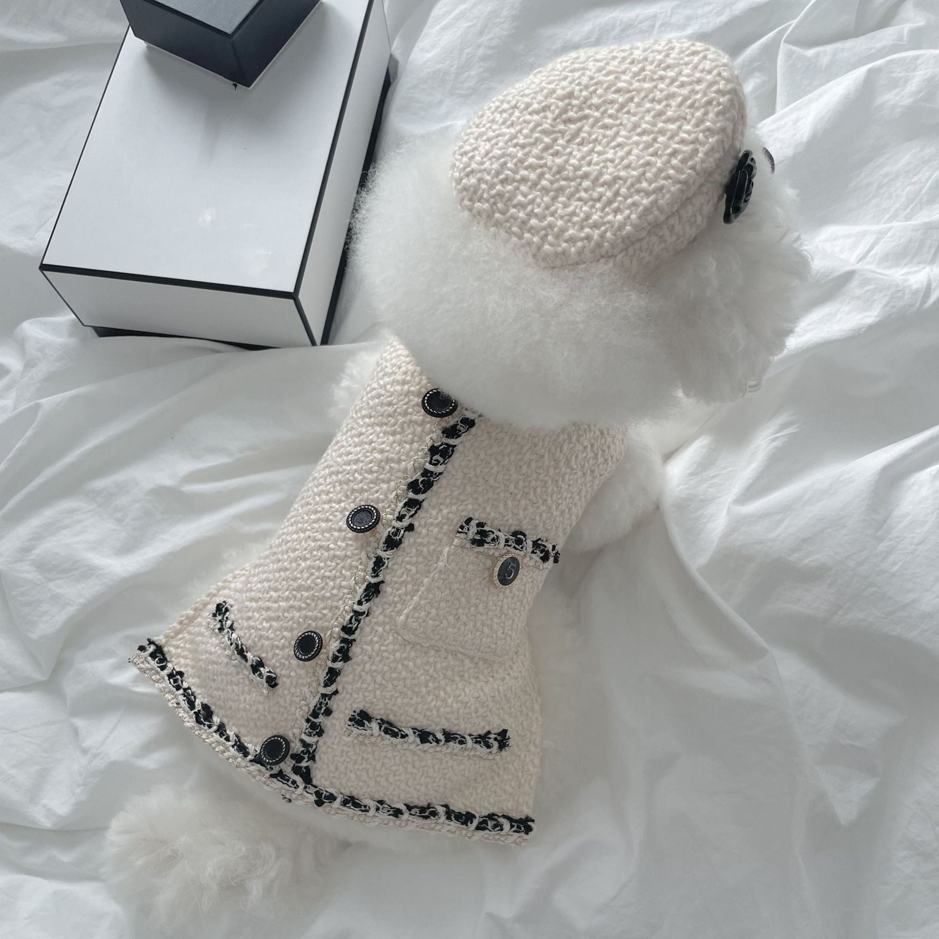 Knitted Hat: Fashionable and Cozy for Your Pet
