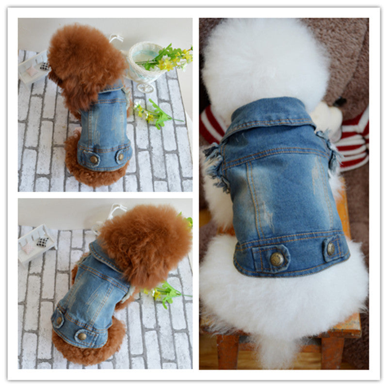 Teddy Clothes: Stylish and Comfortable Denim Wear for Your Pet