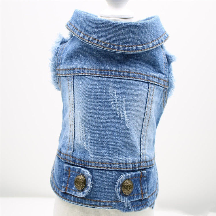 Teddy Clothes: Stylish and Comfortable Denim Wear for Your Pet