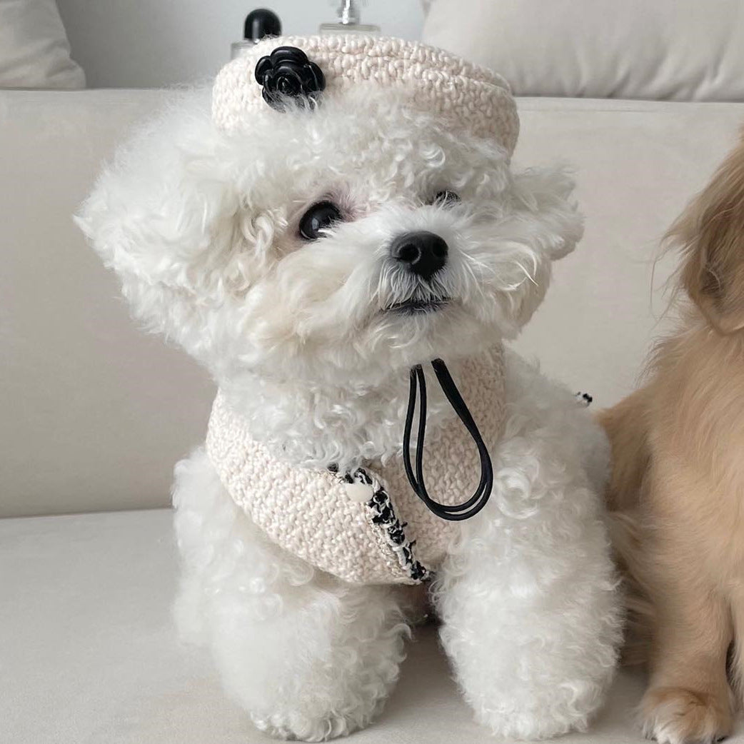 Knitted Hat: Fashionable and Cozy for Your Pet