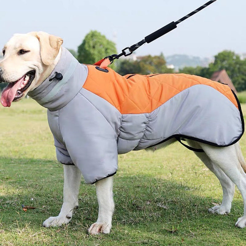 Winter Dog Coat: Cozy and Warm Protection for Your Pet