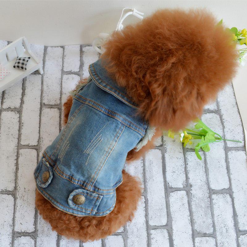 Teddy Clothes: Stylish and Comfortable Denim Wear for Your Pet