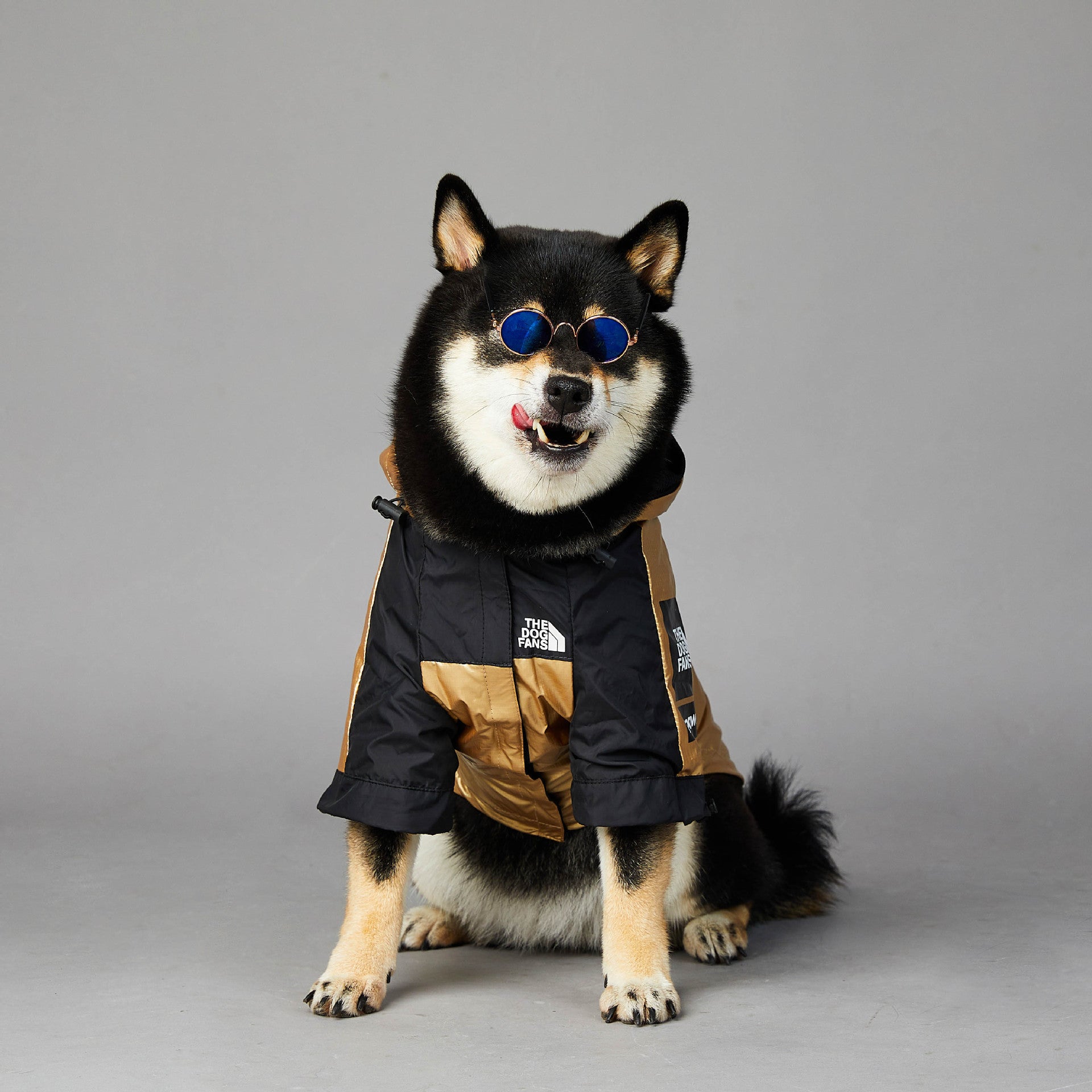 Dog Jacket: Stylish and Protective Raincoat for Your Furry Friend