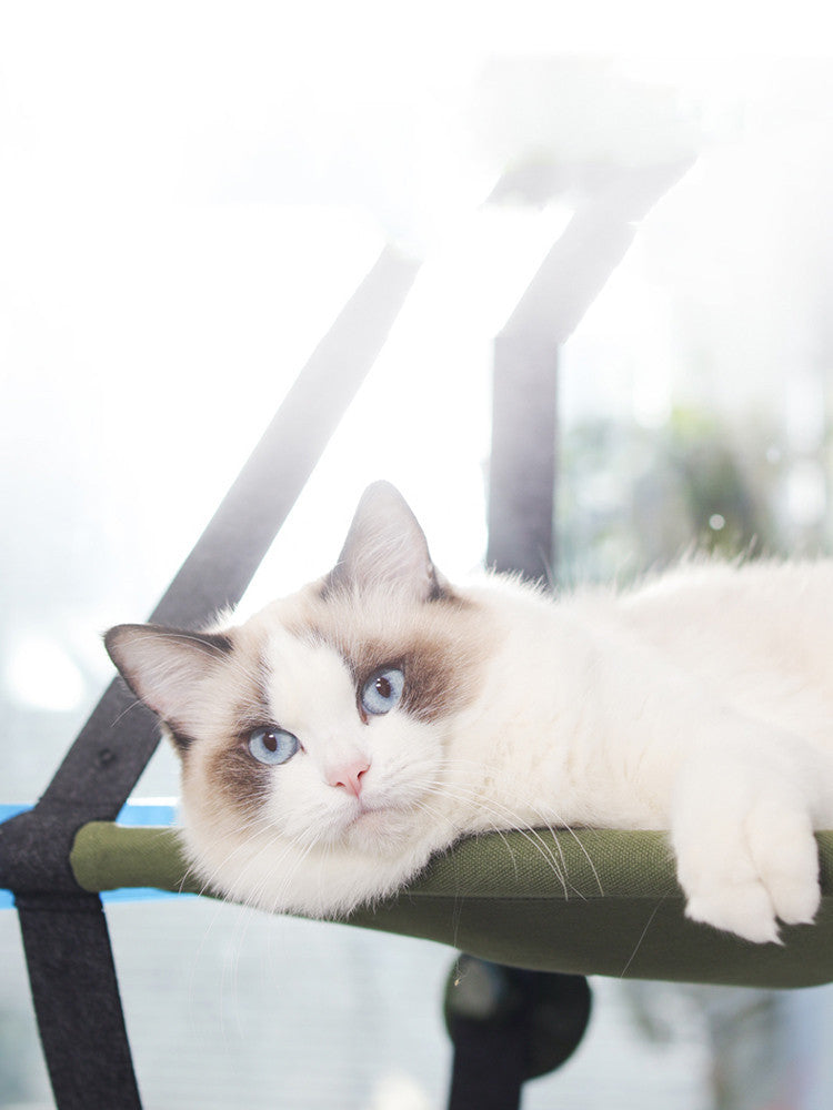Cat Hanging Litter: Comfortable and Convenient Litter Solution
