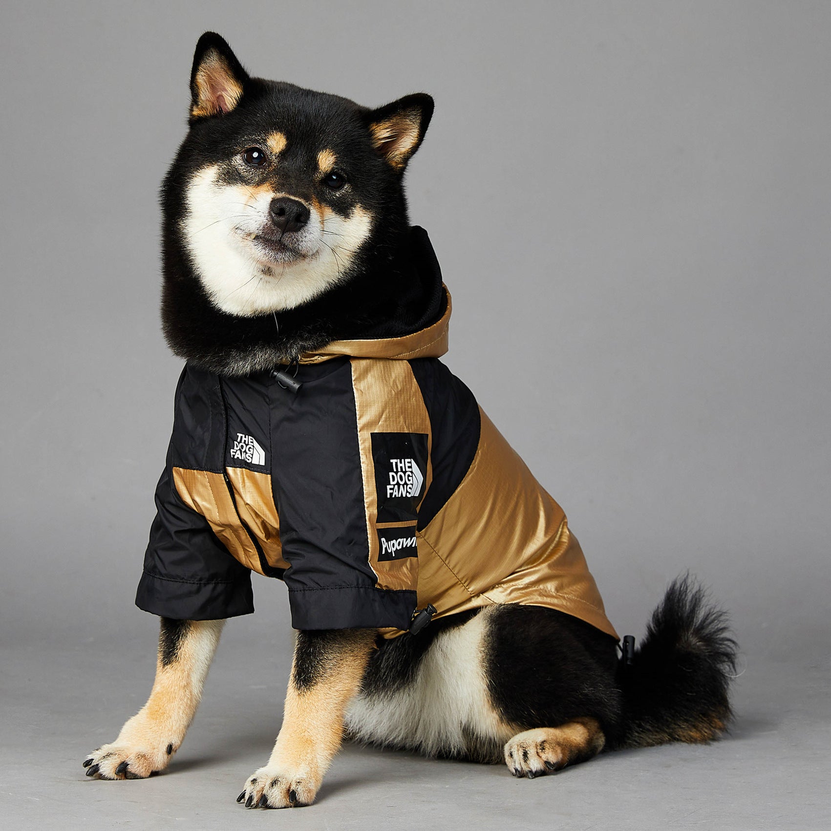 Dog Jacket: Stylish and Protective Raincoat for Your Furry Friend