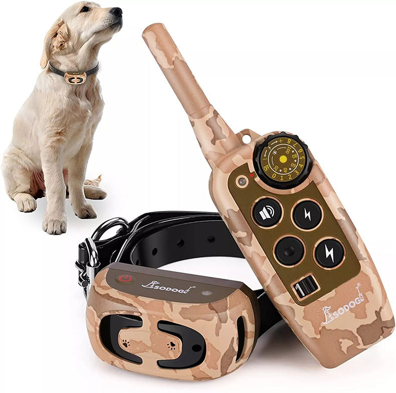 Training Collar: Effective Training for Your Dog