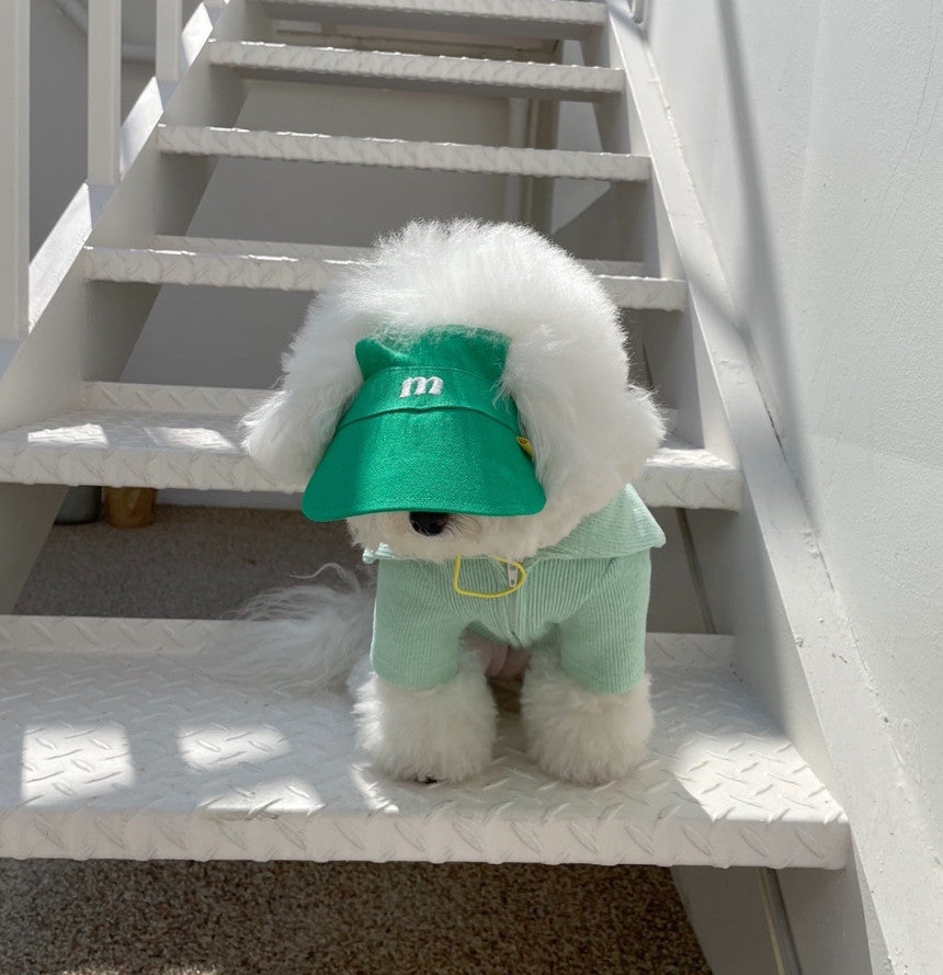 Dog Sun Hat: Stylish and Protective Headgear for Your Dog